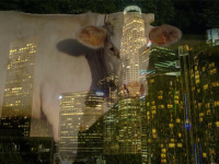 Exposition Laure Prouvost au Studio des Acacias