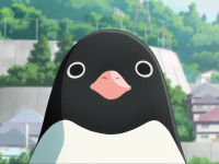 Penguin Highway : critique et band-annonce