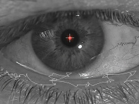 Exposition Michel Paysant à la galerie Lélia Mordoch Second Espace