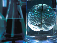 Opération Cortex, l'escape game de l'INSERM à l'Institut de psychiatrie et de neurosciences