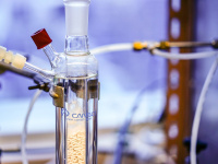 Le Prix Nobel de chimie attribué aux généticiennes Emmanuelle Charpentier et Jennifer Doudna