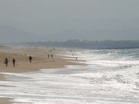 Covid : les Pyrénées-Atlantique, l'exception française dans la hausse des contaminations