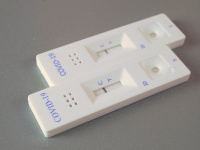 Covid : un test sérologique peu couteux mis au point par un chercheur toulousain