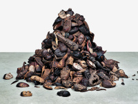 Ex Africa, l'exposition au Musée du Quai Branly