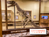 Team Break : l'escape game pose ses valises au sein d'une nouvelle adresse à La Défense