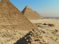 National Geographic ouvre un pop-up store à deux pas de Châtelet