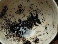 Hogwarts Legacy : où trouvez le Sinistros et comment le vaincre ?