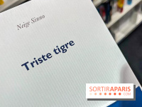 Prix Femina 2023 : "Triste tigre" de Neige Sinno récompensé, un roman qui brise le silence
