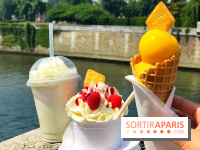 Glacerie Senoble à Paris