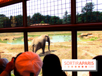 Camion Safari : une visite guidée dans les coulisses de Thoiry
