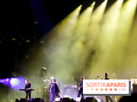 Rock En Seine 2017 : PJ Harvey