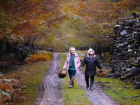 Quand vient l'automne de François Ozon avec Josiane Balasko et Ludivine Sagnier