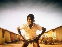 La Cité de Dieu sur Max : Un Voyage au Cœur de la Favela de Rio de Janeiro