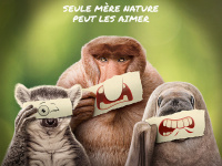 Les outsiders du monde animal : Ryan Reynolds raconte les marginaux de la nature