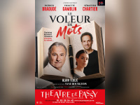 Le Voleur de mots avec Patrick Braoudé au Théâtre de Passy