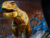 La Marche des Dinosaures à l’AccorHotels Arena : gagnez vos places