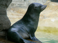 Les vacances de février 2019 au Parc Zoologique de Paris Vincennes