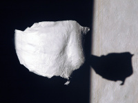 Massimiliano Pugliese, Sebastiaan Franco et Derrick Tracy à la Galerie du Hérisson