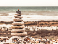 Normandie : évolution quotidienne de la situation sanitaire dans la région