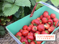 Les cueillettes de fruits, légumes et fleurs autour de Paris