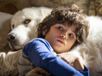 Vacances de la Toussaint 2022 : les films à voir au cinéma en famille