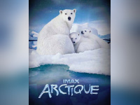 arctique