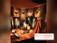 Exposition Hermès à tire-d'aile au Grand Palais