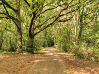 Les 5 randonnées idéales pour se remettre au sport en 2020  