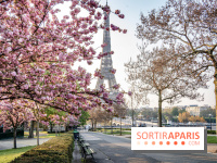 Covid : les indicateurs de l'épidémie baissent toujours en France