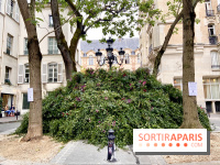 Paris : une première "forêt urbaine" va voir le jour à Montparnasse avant 2024