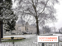 La Neige à Paris