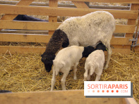 Salon de l'agriculture 2018