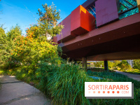 Base de données LaurentP