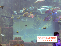 Les 60 ans de LEGO® à l'Aquarium de Paris