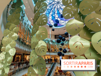 Exposition Monstera Dubia à Beaugrenelle