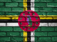 JO de Paris 2024 : Les médailles d'or, d'argent et de bronze de Dominique aux Jeux Olympiques