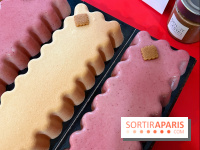 Les bûches de Noël 2022 de Benoit Castel