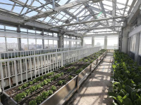 La Cité Maraîchère – Romainville