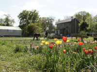 V’île Fertile – Jardin d’agronomie tropicale, Bois de Vincennes