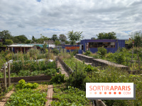 Terre Terre, la ferme-guinguette qui pousse au bord du canal à Aubervilliers (93)