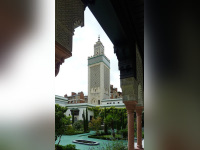 Visite de la Grande Mosquée de Paris
