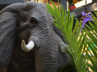 Les animaux de la savane débarquent à Parly 2