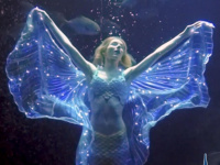 Les Trois Chants de la Sirène, le nouveau spectacle de Claire la sirène à l’Aquarium de Paris