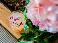 Terrasse végétalisée et nouvelle carte de printemps au Flora Danica