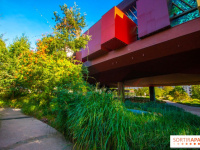 Coronavirus : le Musée du Quai Branly fermé jusqu'à nouvel ordre