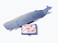 Un coffret de chocolats A la Mère de Famille x Deyrolle pour sensibiliser à la pollution des océans