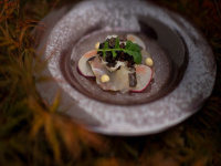 La recette de la daurade royale au lard blanc du chef Eric Guerin