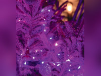 Menu de Noël 2020 et du Nouvel An 2021 du Nolinski à emporter