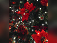 Menu de Noël 2020 et du Nouvel An 2021 du Sinner à emporter