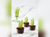 1er mai : La pâtisserie "muguet" d'Eric Kayser